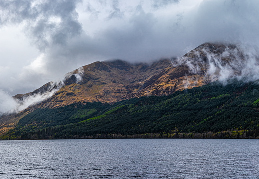 Landscape-2025.04-003