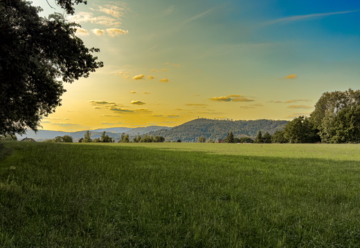 Landscape-2025.07-001