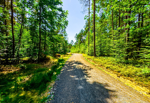 Landscape-2025.07-002