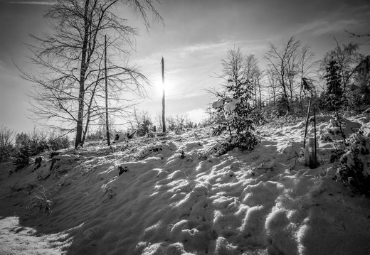 Landscape-2025.11-002